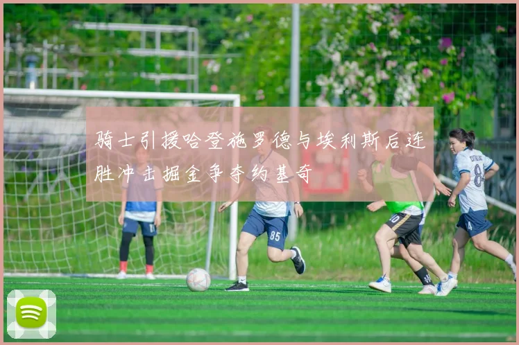 骑士引援哈登施罗德与埃利斯后连胜冲击掘金争夺约基奇