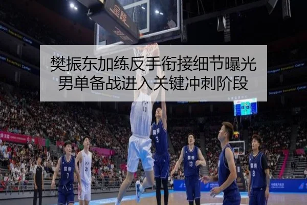 樊振东加练反手衔接细节曝光 男单备战进入关键冲刺阶段